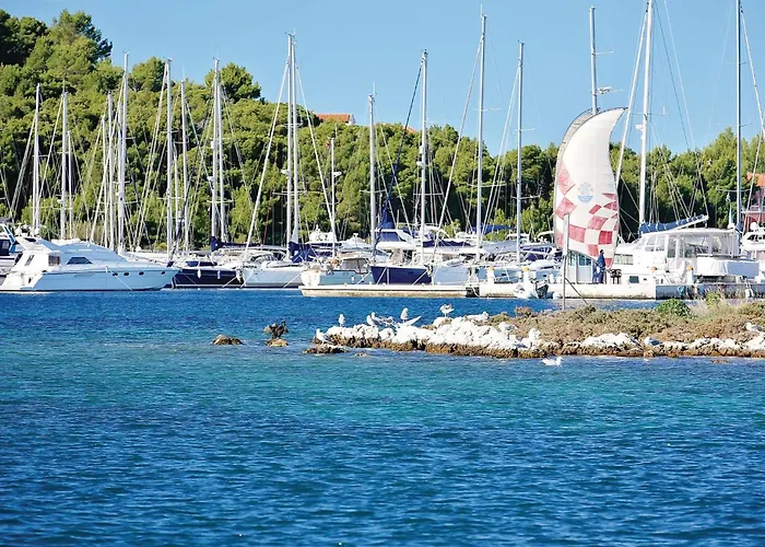 Amazing In Appartement *